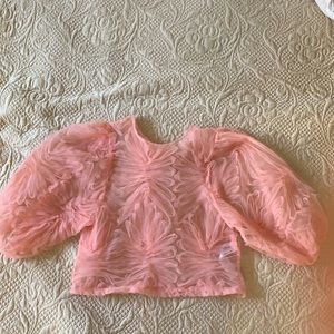 Zara Pink Tulle Top